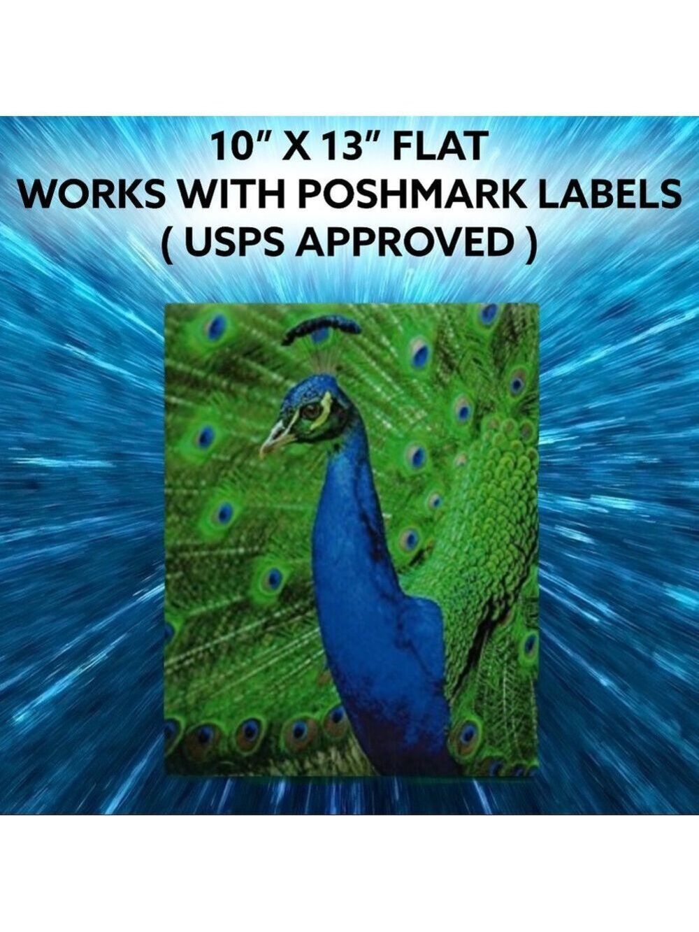 25 10X13 Poly Mailers Royal Peacock PRICE IS FIRM - Picture 12 of 13